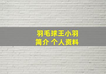 羽毛球王小羽简介 个人资料